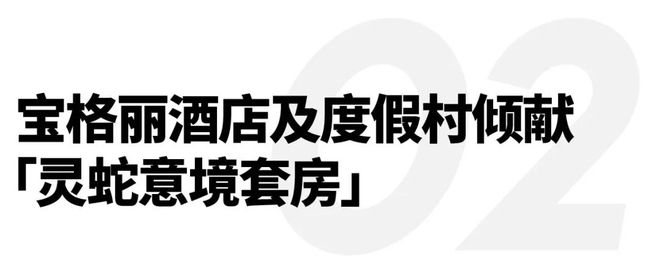 时；制糖工厂2025重磅新品小电拼全新亮相｜直男Dailybsport体育入口重磅回归！泰格豪雅将再度担任F1赛事计(图6)