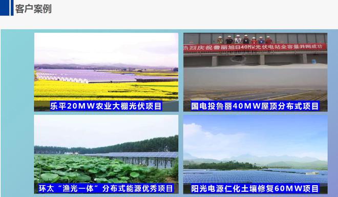 B材料领域的革新领航者与行业标杆Bsports综合德斯泰：PV(图2)