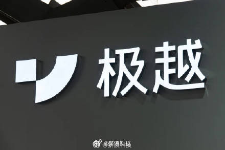 待专家建议建立统一汽车系统平台必一体育极越智驾罢工车主只能等(图1)